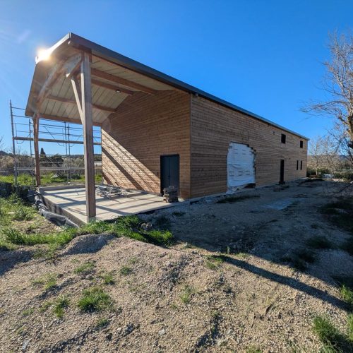 WhatsApp Image 2026-03-03 at 18.13.43 (1)